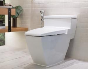 Modern toilet