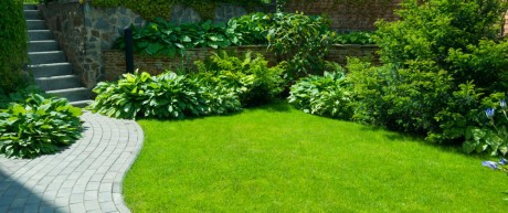 circulatie Thuisland uniek 5 tips voor een tuin met weinig onderhoud | SoSimply